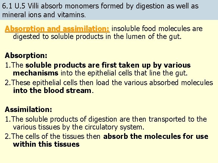 6. 1 U. 5 Villi absorb monomers formed by digestion as well as mineral