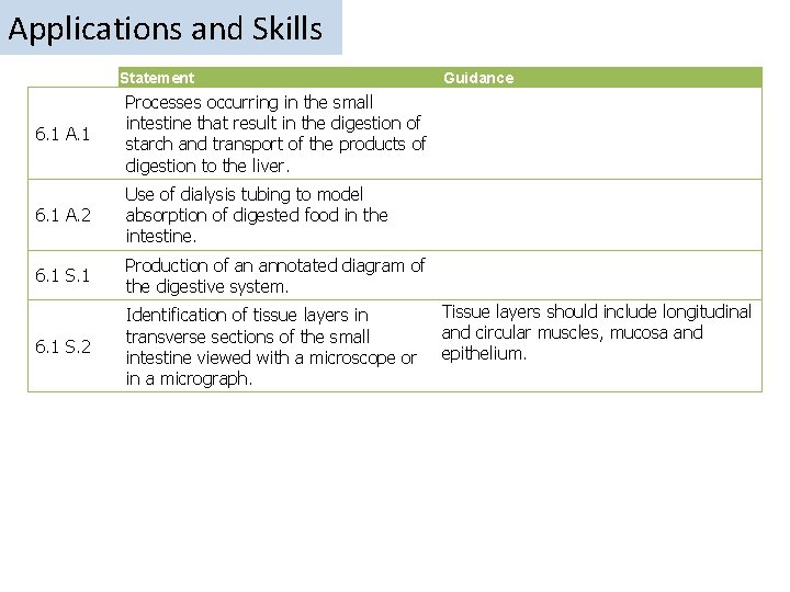 Applications and Skills Statement 6. 1 A. 1 Processes occurring in the small intestine Applications and Skills Statement 6. 1 A. 1 Processes occurring in the small intestine