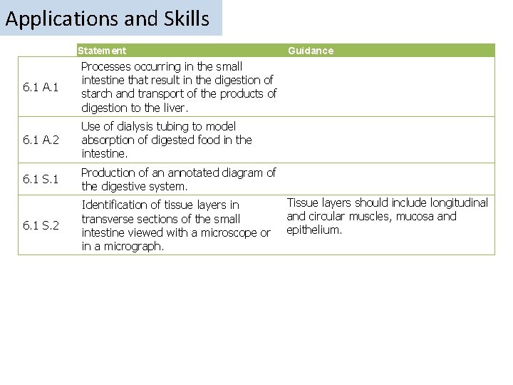 Applications and Skills Statement 6. 1 A. 1 Processes occurring in the small intestine