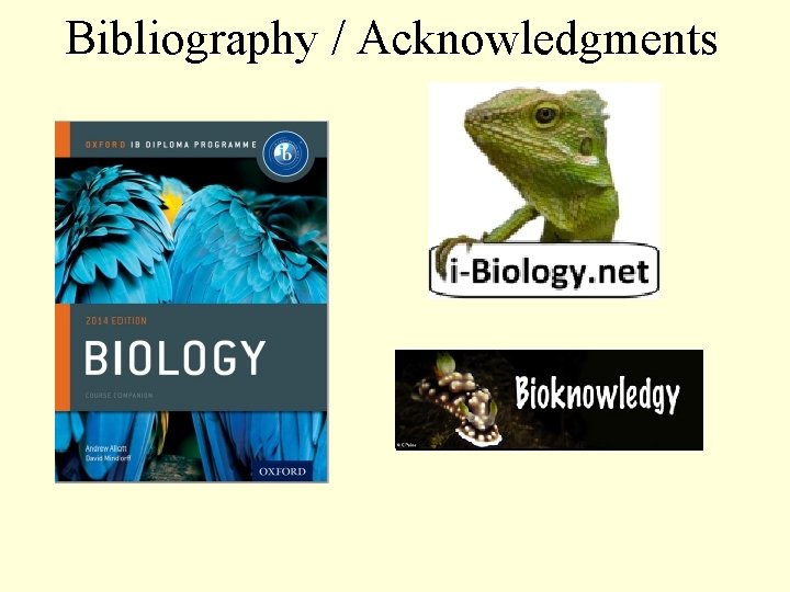 Bibliography / Acknowledgments 