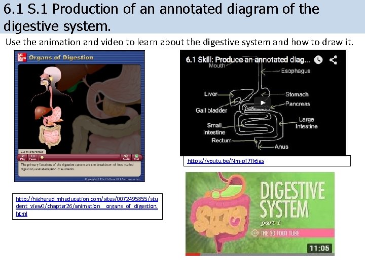 6. 1 S. 1 Production of an annotated diagram of the digestive system. Use
