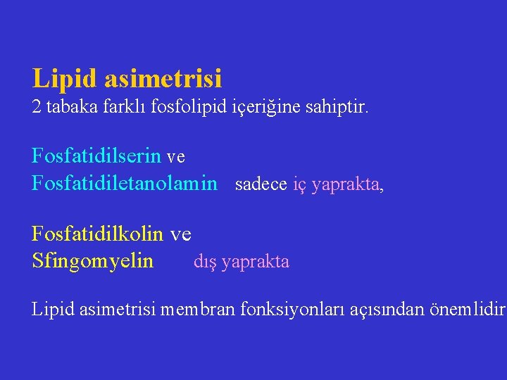 Lipid asimetrisi 2 tabaka farklı fosfolipid içeriğine sahiptir. Fosfatidilserin ve Fosfatidiletanolamin sadece iç yaprakta,