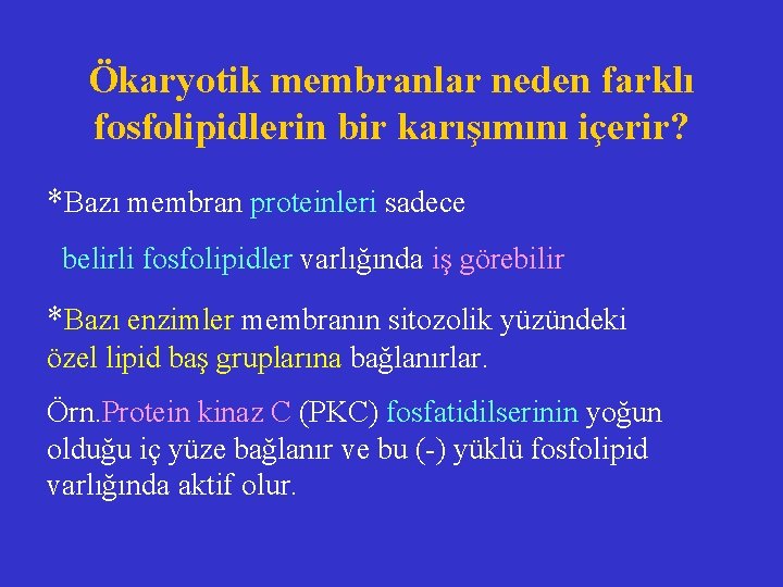 Ökaryotik membranlar neden farklı fosfolipidlerin bir karışımını içerir? *Bazı membran proteinleri sadece belirli fosfolipidler