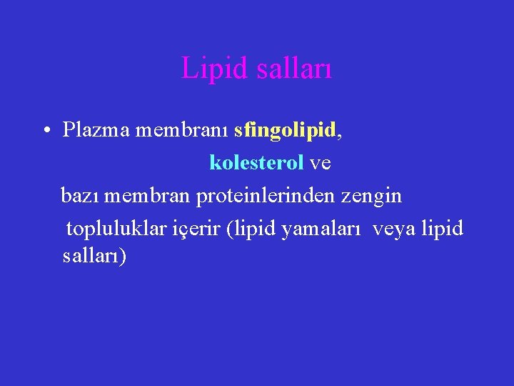 Lipid salları • Plazma membranı sfingolipid, kolesterol ve bazı membran proteinlerinden zengin topluluklar içerir