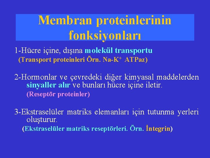 Membran proteinlerinin fonksiyonları 1 -Hücre içine, dışına molekül transportu (Transport proteinleri Örn. Na-K+ ATPaz)