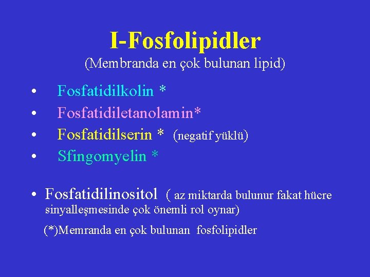 I-Fosfolipidler (Membranda en çok bulunan lipid) • • Fosfatidilkolin * Fosfatidiletanolamin* Fosfatidilserin * (negatif
