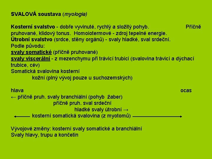 SVALOVÁ soustava (myologia) Kosterní svalstvo - dobře vyvinuté, rychlý a složitý pohyb. Příčně pruhované,