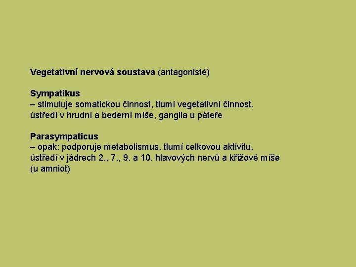 Vegetativní nervová soustava (antagonisté) Sympatikus – stimuluje somatickou činnost, tlumí vegetativní činnost, ústředí v