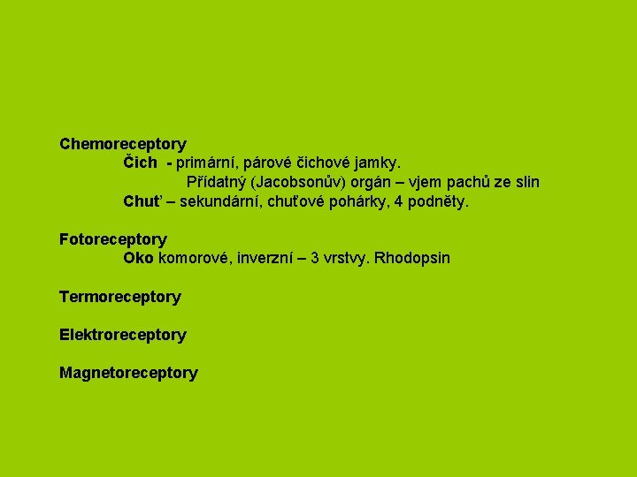 Chemoreceptory Čich - primární, párové čichové jamky. Přídatný (Jacobsonův) orgán – vjem pachů ze