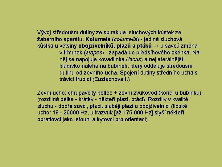 Vývoj středoušní dutiny ze spirakula, sluchových kůstek ze žaberního aparátu. Kolumela (columella) - jediná