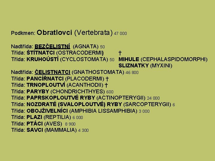 Podkmen: Obratlovci (Vertebrata) 47 000 Nadtřída: BEZČELISTNÍ (AGNATA) 50 Třída: ŠTÍTNATCI (OSTRACODERMI) † Třída: