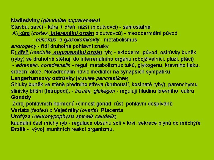 Nadledviny (glandulae suprarenales) Stavba: savčí - kůra + dřeň, nižší (ploutvovci) - samostatné A)