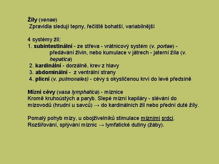 Žíly (venae) Zpravidla sledují tepny, řečiště bohatší, variabilnější 4 systémy žil: 1. subintestinální -