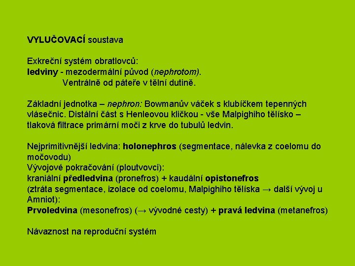 VYLUČOVACÍ soustava Exkreční systém obratlovců: ledviny - mezodermální původ (nephrotom). Ventrálně od páteře v