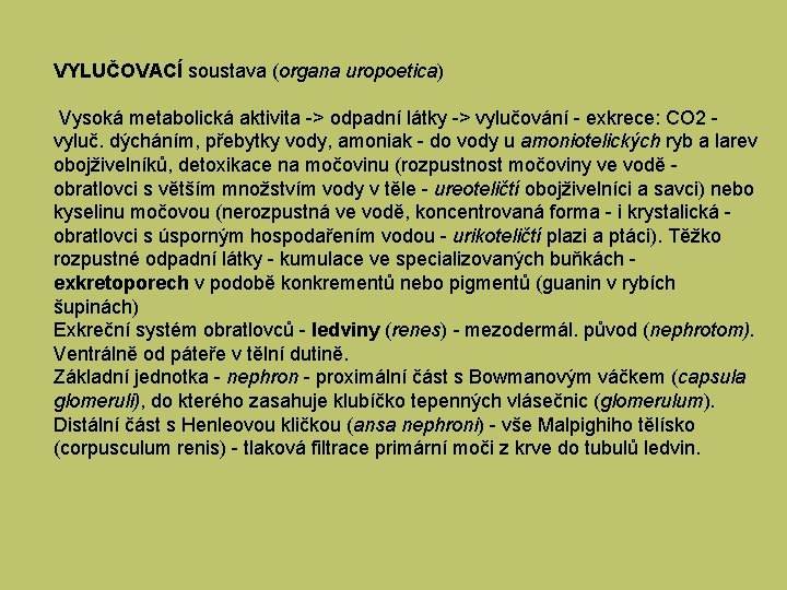 VYLUČOVACÍ soustava (organa uropoetica) Vysoká metabolická aktivita -> odpadní látky -> vylučování - exkrece: