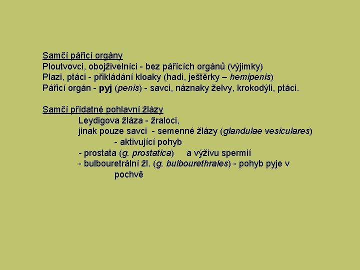 Samčí pářicí orgány Ploutvovci, obojživelníci - bez pářících orgánů (výjimky) Plazi, ptáci - přikládání