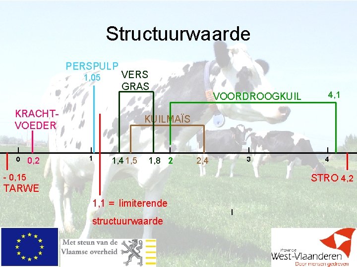 Structuurwaarde PERSPULP 1, 05 VERS GRAS KRACHTVOEDER 0 0, 2 VOORDROOGKUIL 4, 1 KUILMAÏS