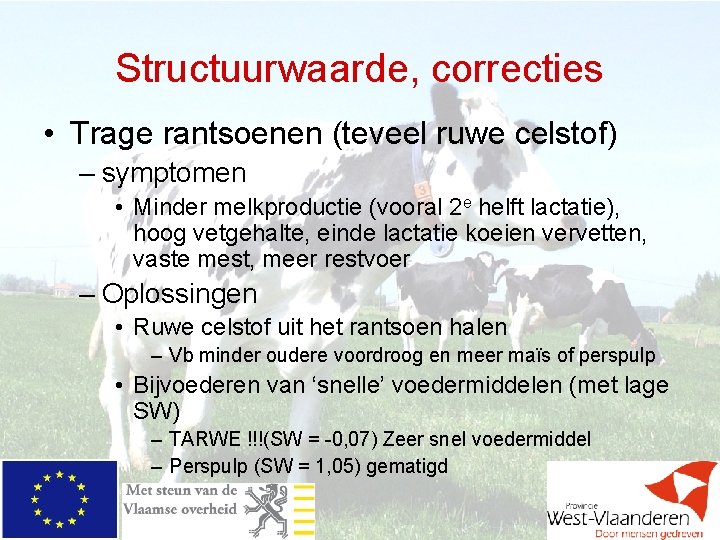 Structuurwaarde, correcties • Trage rantsoenen (teveel ruwe celstof) – symptomen • Minder melkproductie (vooral