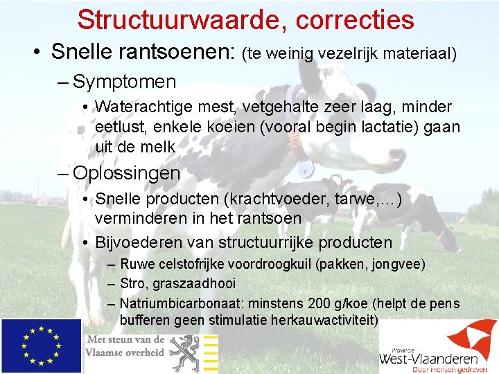 Structuurwaarde, correcties • Snelle rantsoenen: (te weinig vezelrijk materiaal) – Symptomen • Waterachtige mest,