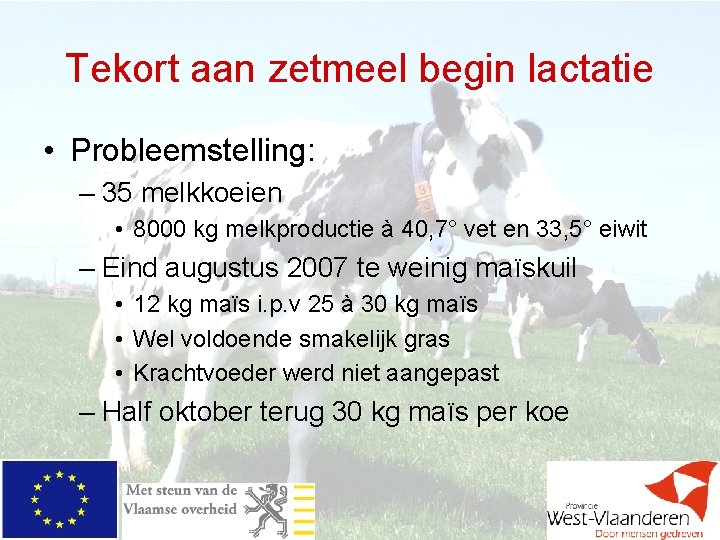 Tekort aan zetmeel begin lactatie • Probleemstelling: – 35 melkkoeien • 8000 kg melkproductie