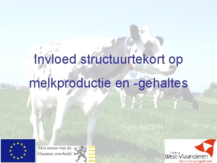 Invloed structuurtekort op melkproductie en -gehaltes 