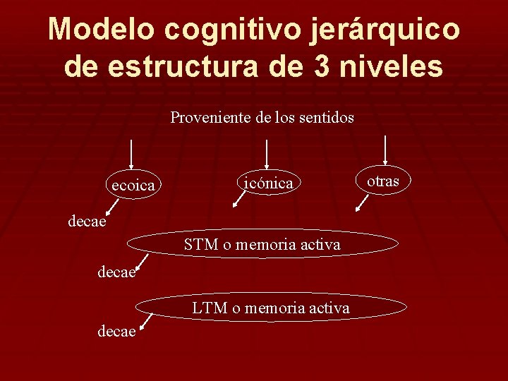 Modelo cognitivo jerárquico de estructura de 3 niveles Proveniente de los sentidos ecoica icónica