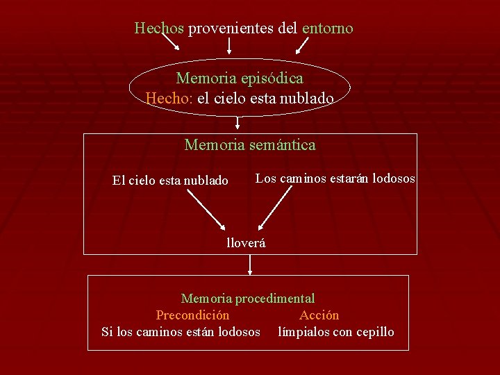 Hechos provenientes del entorno Memoria episódica Hecho: el cielo esta nublado Memoria semántica El