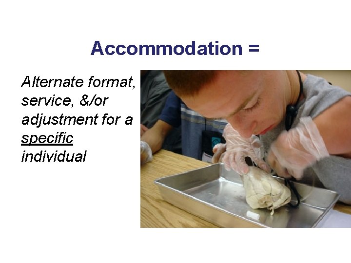 Accommodation = Alternate format, service, &/or adjustment for a specific individual 