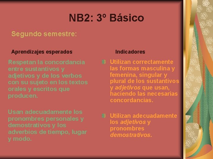 NB 2: 3º Básico Segundo semestre: Aprendizajes esperados Indicadores Respetan la concordancia entre sustantivos