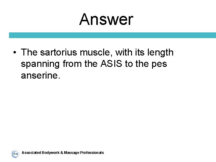 Answer • The sartorius muscle, with its length spanning from the ASIS to the