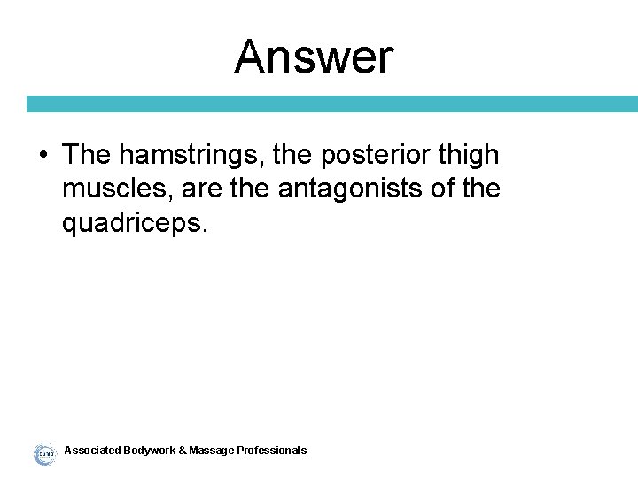 Answer • The hamstrings, the posterior thigh muscles, are the antagonists of the quadriceps.