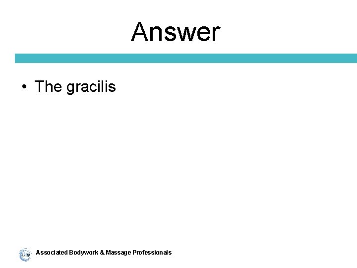 Answer • The gracilis Associated Bodywork & Massage Professionals 