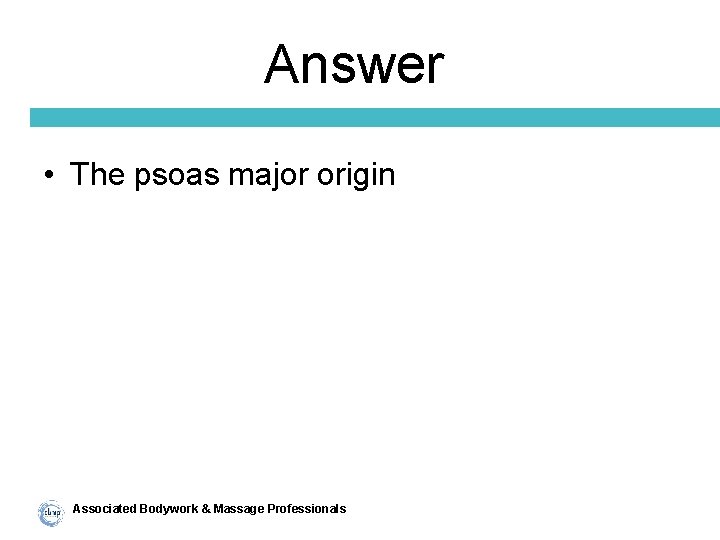 Answer • The psoas major origin Associated Bodywork & Massage Professionals 