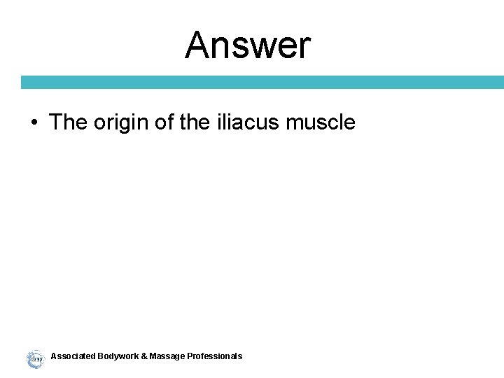 Answer • The origin of the iliacus muscle Associated Bodywork & Massage Professionals 