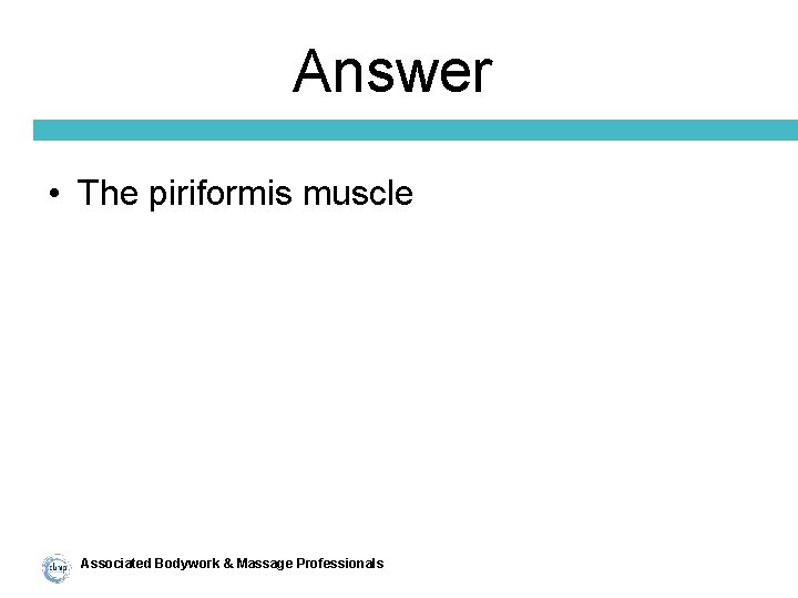 Answer • The piriformis muscle Associated Bodywork & Massage Professionals 