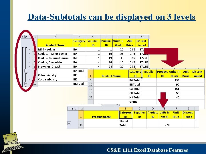 Data-Subtotals can be displayed on 3 levels CS&E 1111 Excel Database Features 