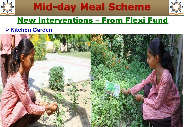 Mid-day Meal Scheme New Interventions – From Flexi Fund Ø Kitchen Garden 4 