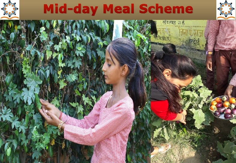 Mid-day Meal Scheme 5 