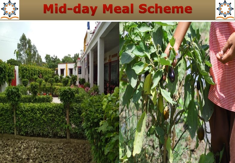 Mid-day Meal Scheme 6 