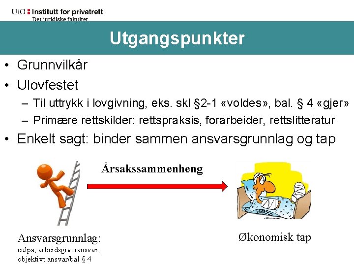 Utgangspunkter • Grunnvilkår • Ulovfestet – Til uttrykk i lovgivning, eks. skl § 2