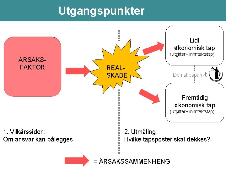 Utgangspunkter (forts. ) ANSVARSGRUNNLAG -Culpa ÅRSAKS-U/lovfestet FAKTOR objektivt ansvar -Arbeidsgiveransv ar Lidt økonomisk tap