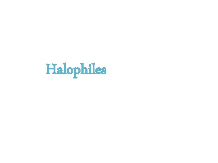 Halophiles 