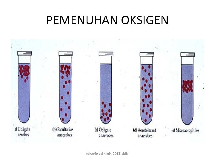 PEMENUHAN OKSIGEN bakteriologi klinik, 2013, titik l 