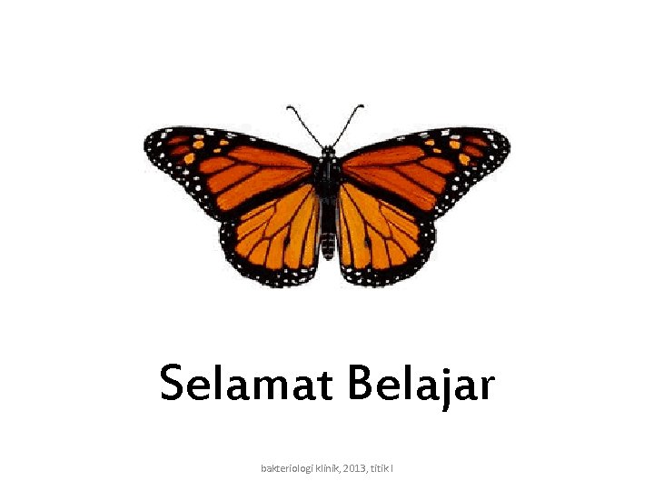 Selamat Belajar bakteriologi klinik, 2013, titik l 