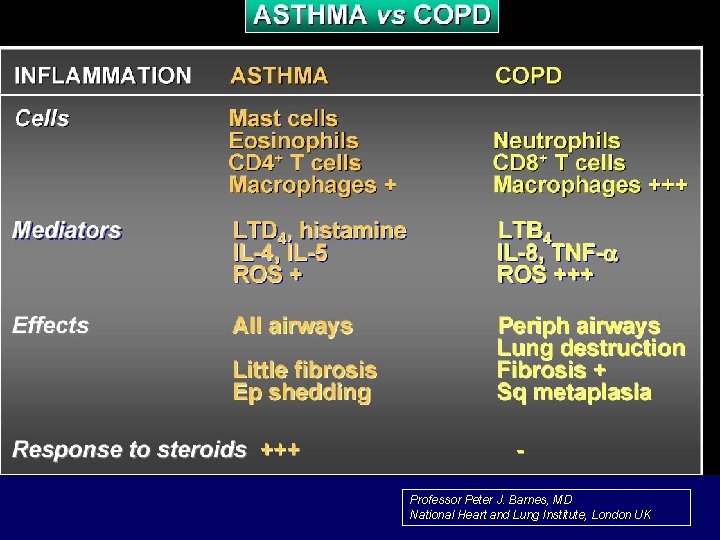 Professor Peter J. Barnes, MD National Heart and Lung Institute, London UK 