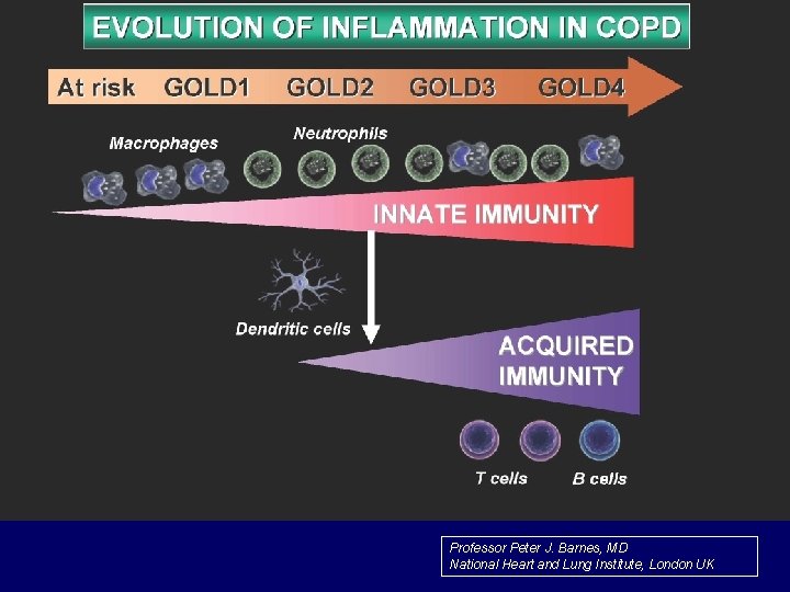 Professor Peter J. Barnes, MD National Heart and Lung Institute, London UK 