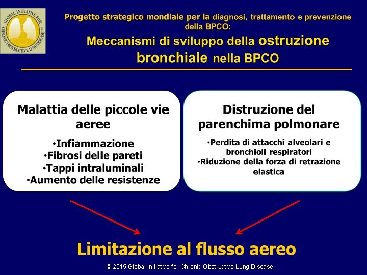 © 2015 Global Initiative for Chronic Obstructive Lung Disease 