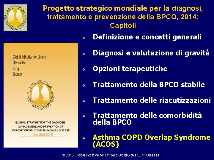 Progetto strategico mondiale per la diagnosi, trattamento e prevenzione della BPCO, 2014: Capitoli REVISED