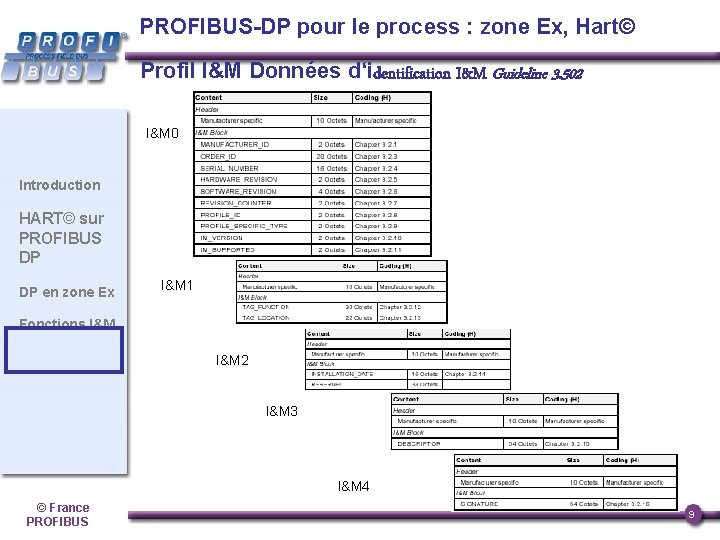 PROFIBUS-DP pour le process : zone Ex, Hart© Profil I&M Données d‘identification I&M Guideline