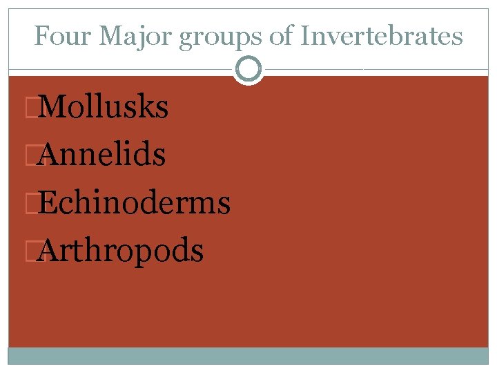 Four Major groups of Invertebrates �Mollusks �Annelids �Echinoderms �Arthropods 
